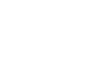 IPPA white logo