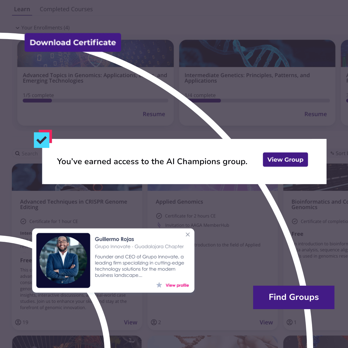 Group recommendations