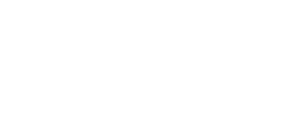 SDSN white logo